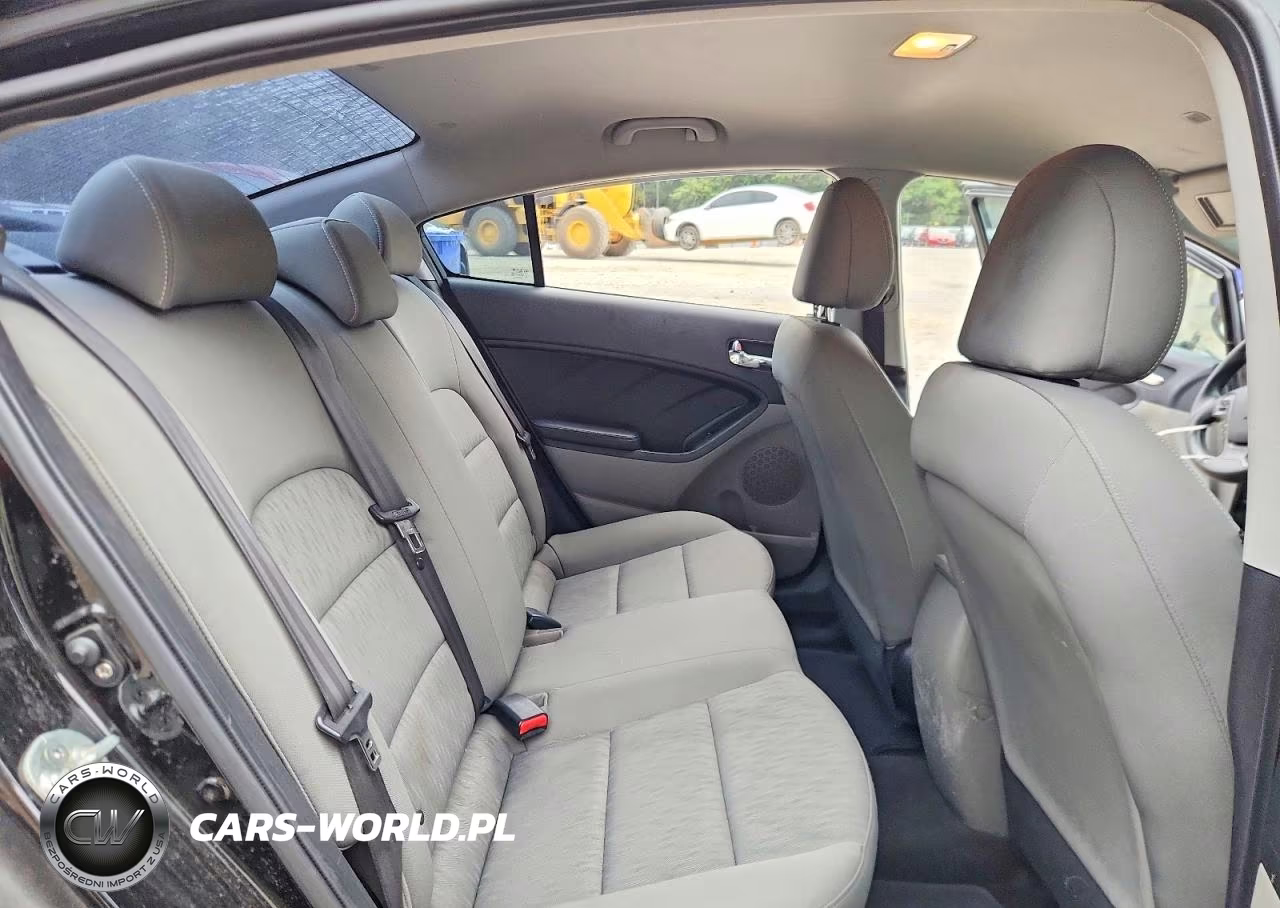 2015 Kia Forte Lx VIN:KNAFK4A64F5267794 - 10