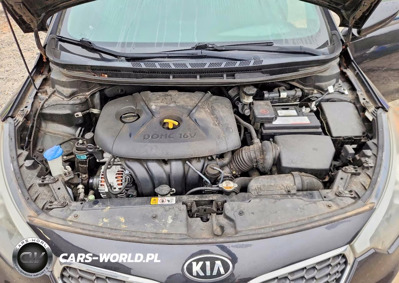 2015 Kia Forte Lx VIN:KNAFK4A64F5267794 - 11