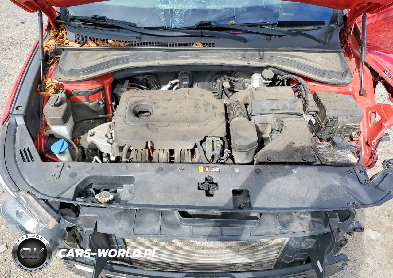 2020 Hyundai Santa Fe Sel VIN:5NMS33AD8LH228996 - 12