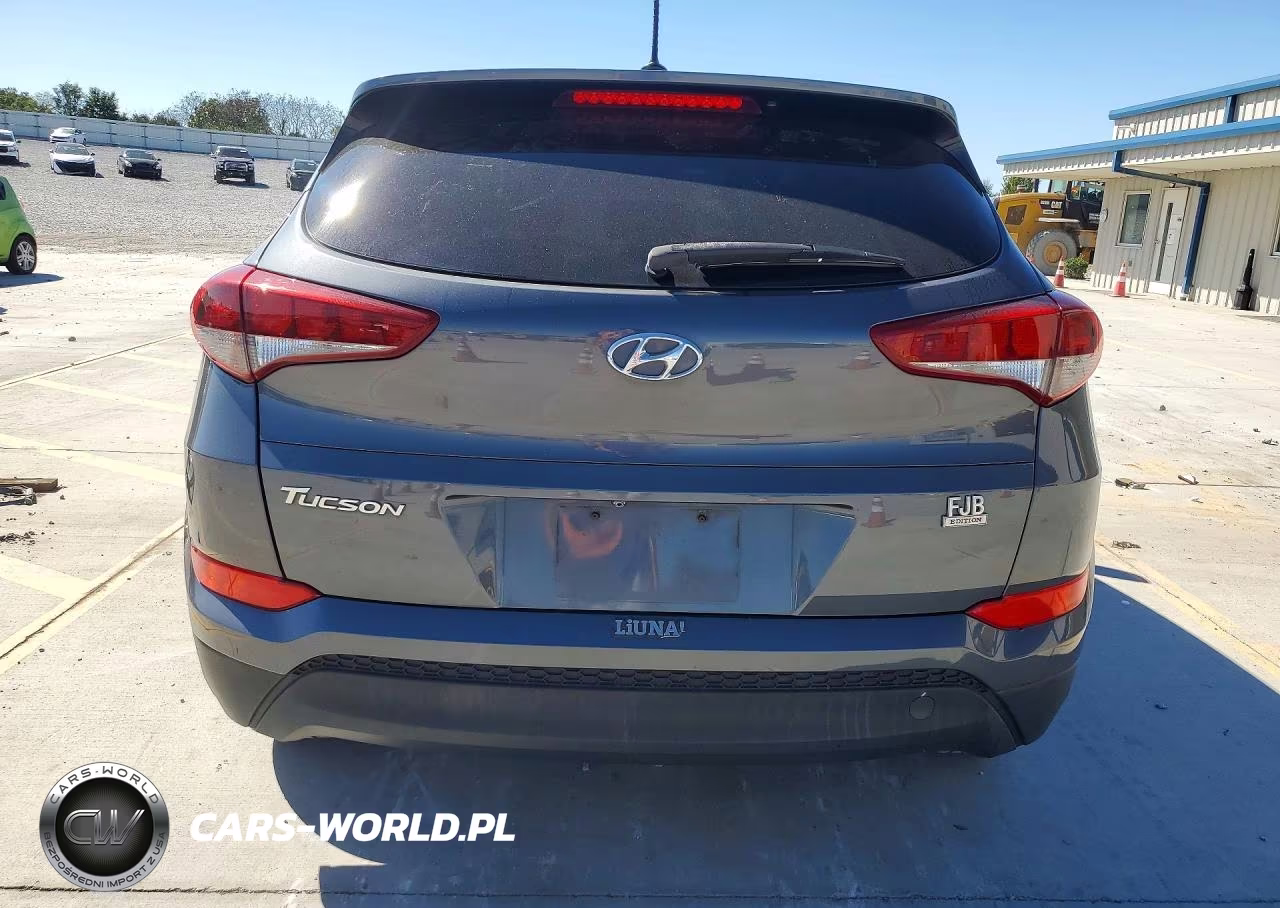 2017 Hyundai Tucson Se VIN:KM8J23A42HU506513 - 6