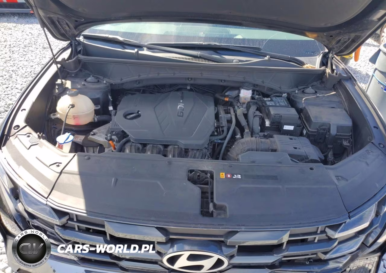 2025 Hyundai Tucson Sel VIN:3KMJC3DE9SE007331 - 12