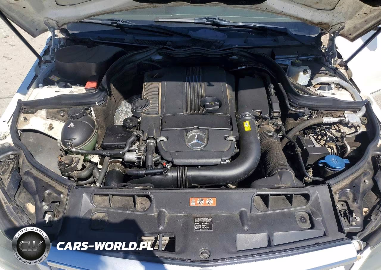 2013 Mercedes-Benz C 250 VIN:WDDGF4HB5DG090999 - 11