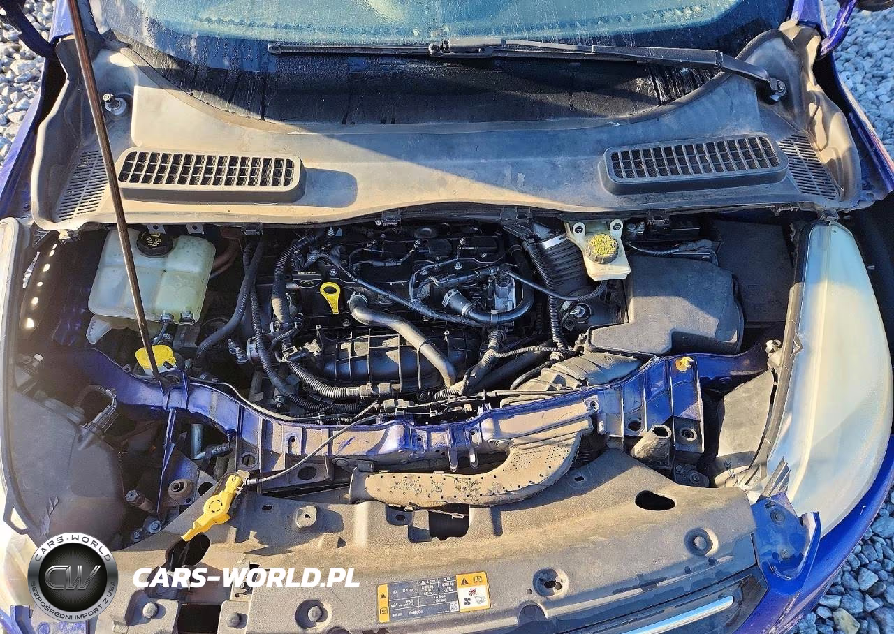 2015 Ford Escape Se VIN:1FMCU0GX7FUA57913 - 12