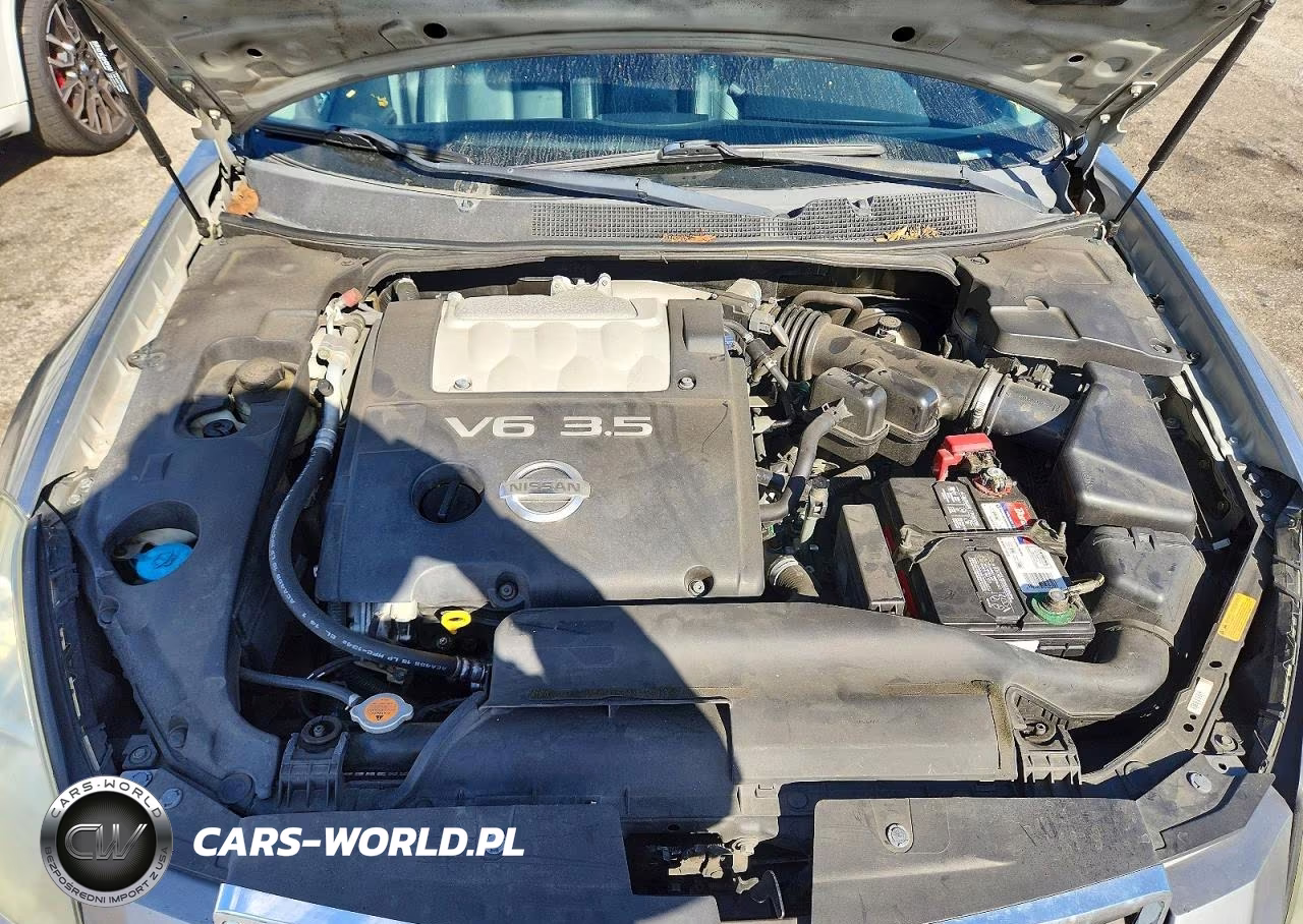 2007 Nissan Maxima 3.5 Se VIN:1N4BA41E57C857937 - 11