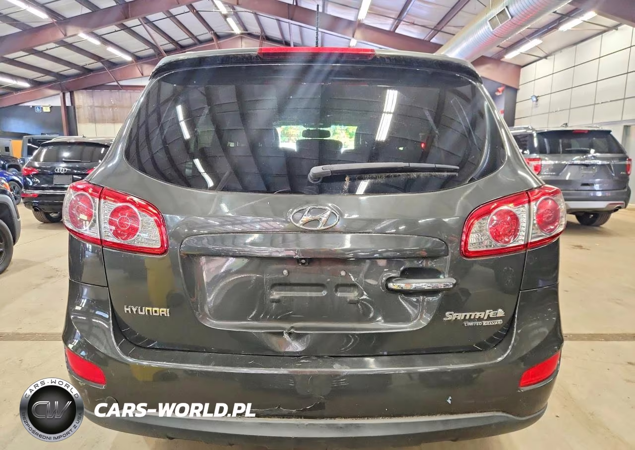 2010 Hyundai Santa Fe Limited VIN:5NMSKDAG8AH341945 - 6