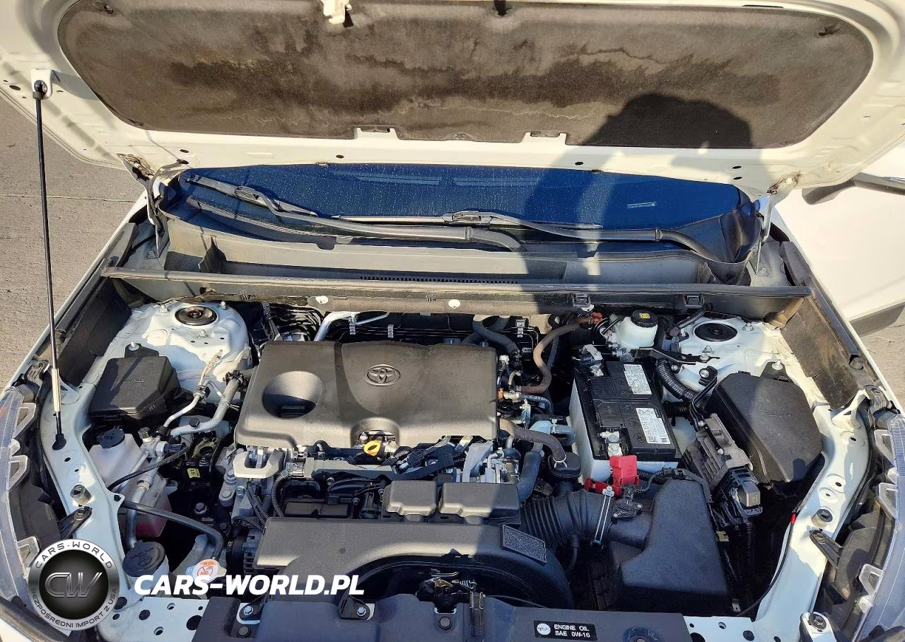 2021 Toyota Rav4 Xle VIN:2T3W1RFV8MC156272 - 12