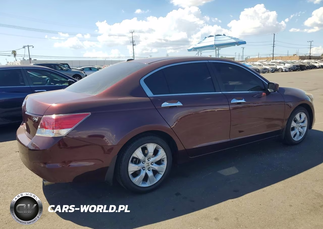 2010 Honda Accord Exl VIN:5KBCP3F84AB016083 - 3