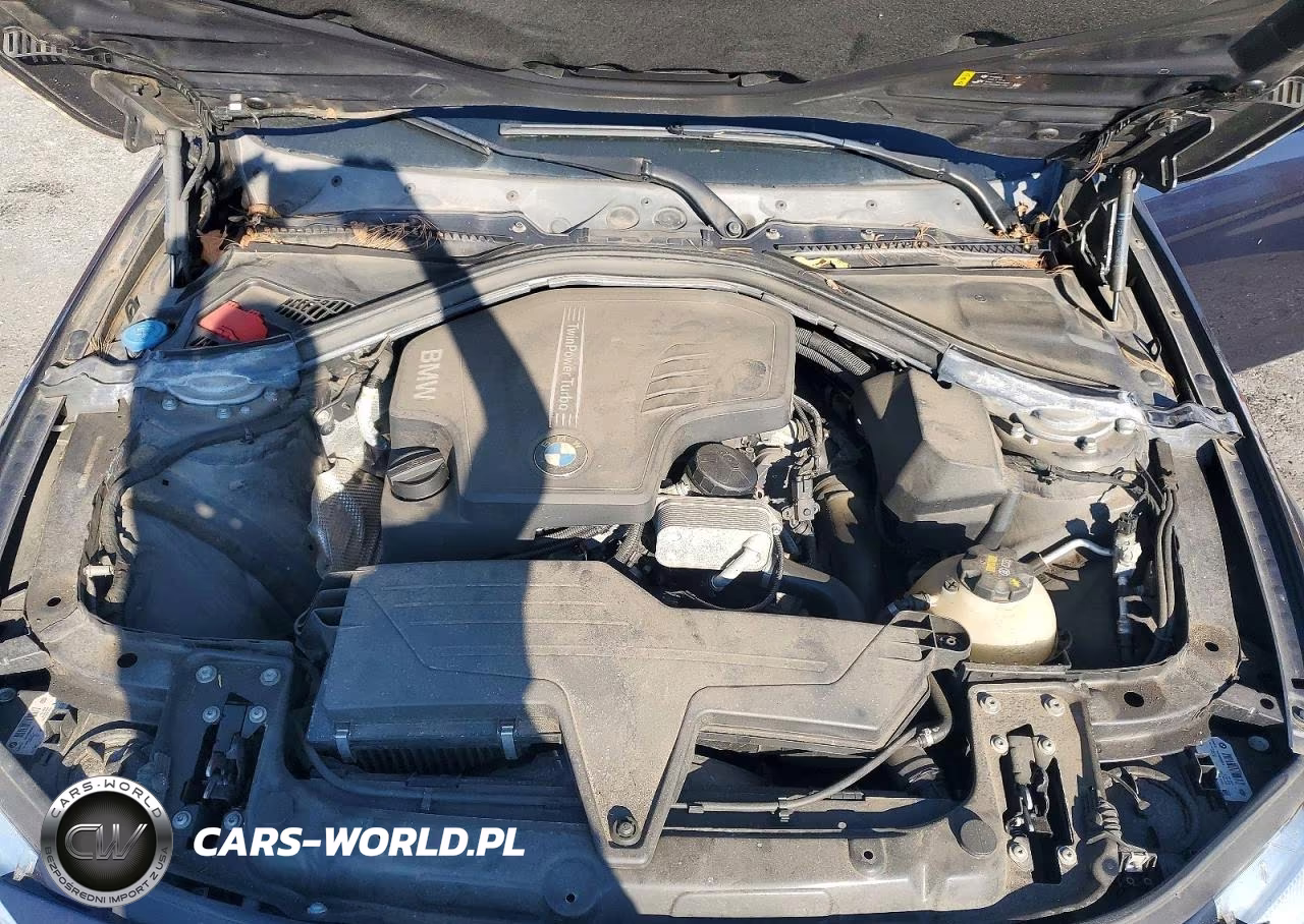 2017 BMW 320 Xi VIN:WBA8E5G54HNU41502 - 11