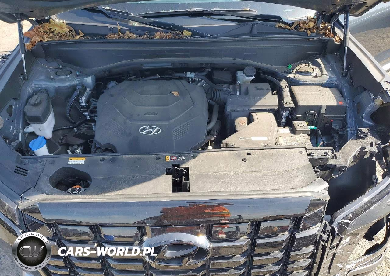 2024 Hyundai Palisade Limited VIN:KM8R5DGE5RU700695 - 12