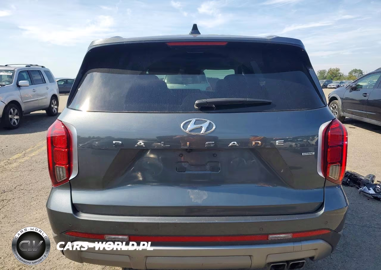 2024 Hyundai Palisade Limited VIN:KM8R5DGE5RU700695 - 6