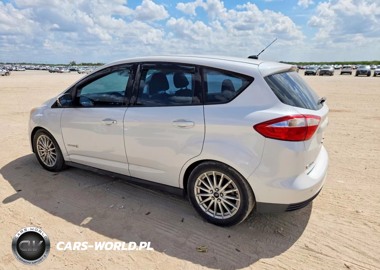 2013 Ford C-Max Se VIN:1FADP5AU9DL542817 - 2