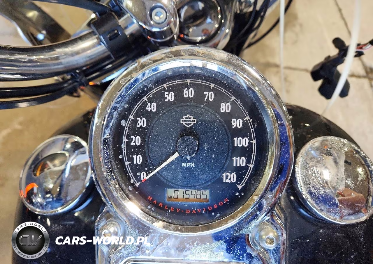 2013 Harley-Davidson Fld Switchback VIN:1HD1GZM14DC333814 - 7