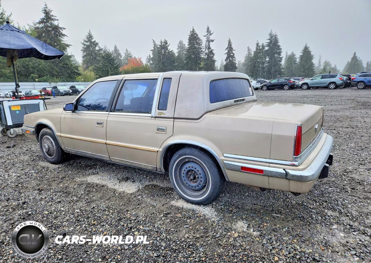 1991 Chrysler New Yorker Fifth Avenue VIN:1C3XY66R6MD258154 - 2
