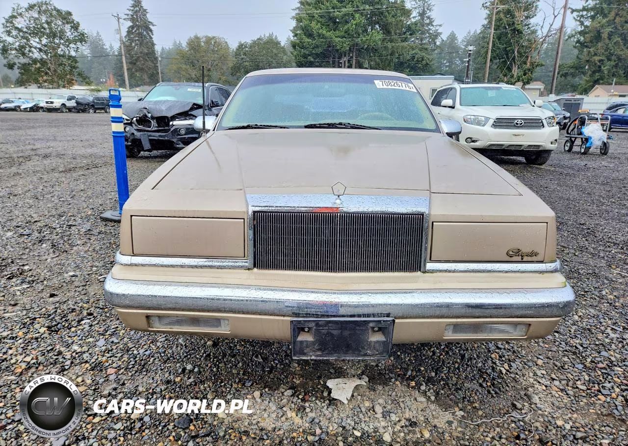 1991 Chrysler New Yorker Fifth Avenue VIN:1C3XY66R6MD258154 - 5