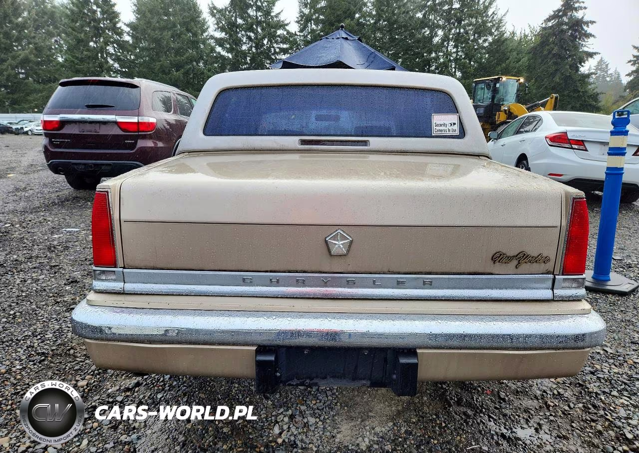 1991 Chrysler New Yorker Fifth Avenue VIN:1C3XY66R6MD258154 - 6