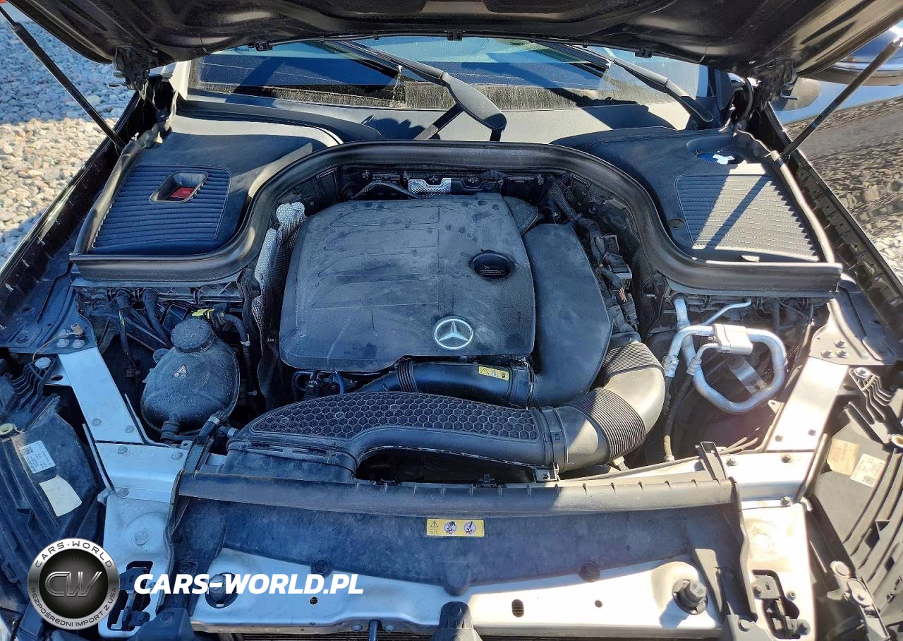 2020 Mercedes-Benz Glc 300 4Matic VIN:W1N0G8EB3LF838084 - 12