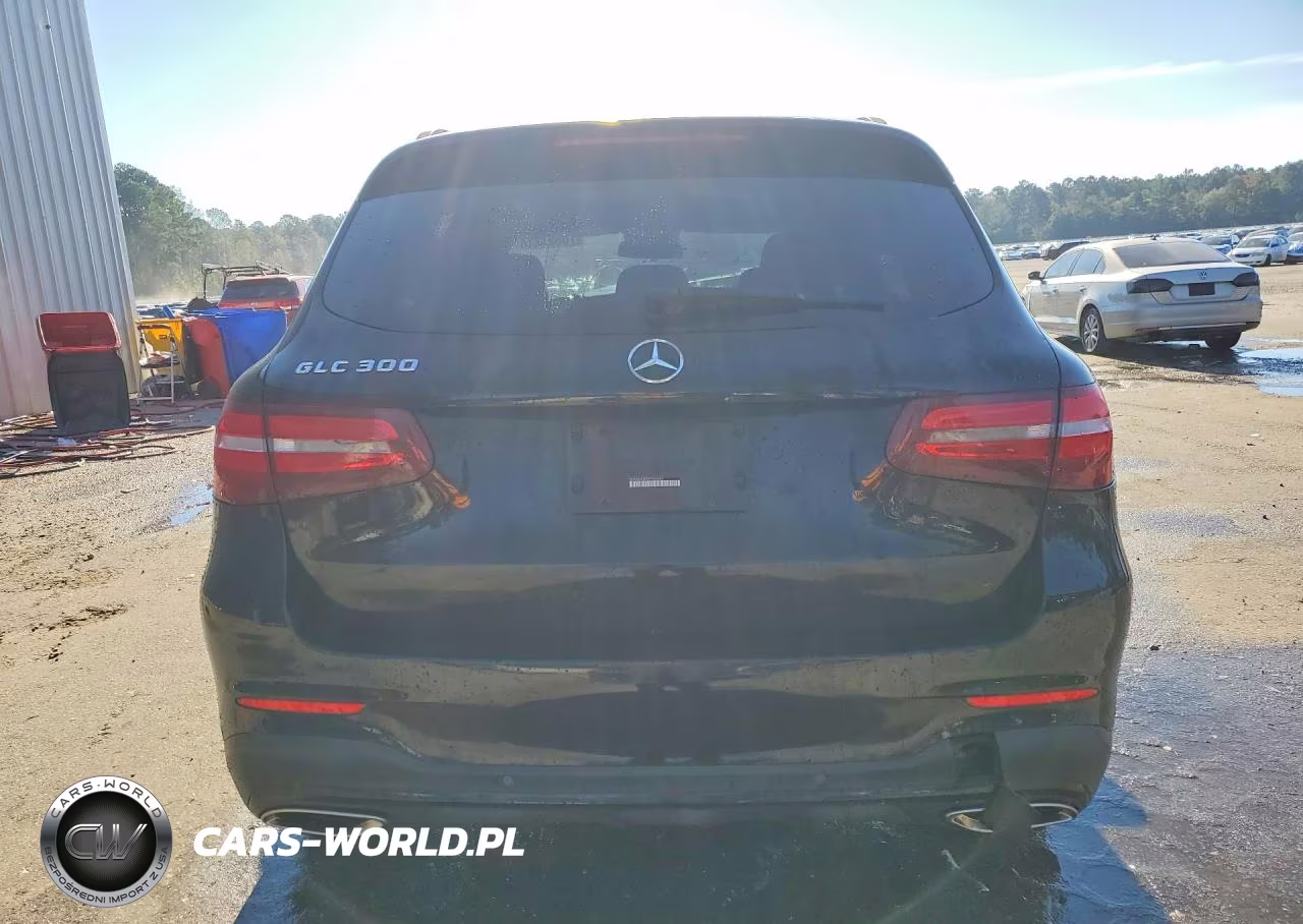 2016 Mercedes-Benz Glc 300 VIN:WDC0G4JBXGF066365 - 6