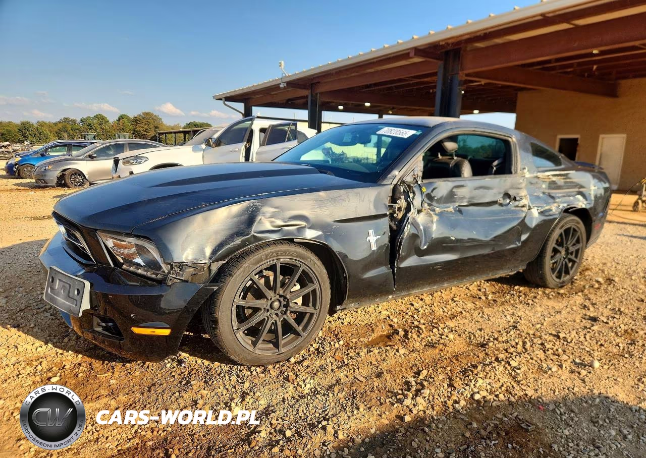 2010 Ford Mustang VIN:1ZVBP8AN3A5114895 - 1