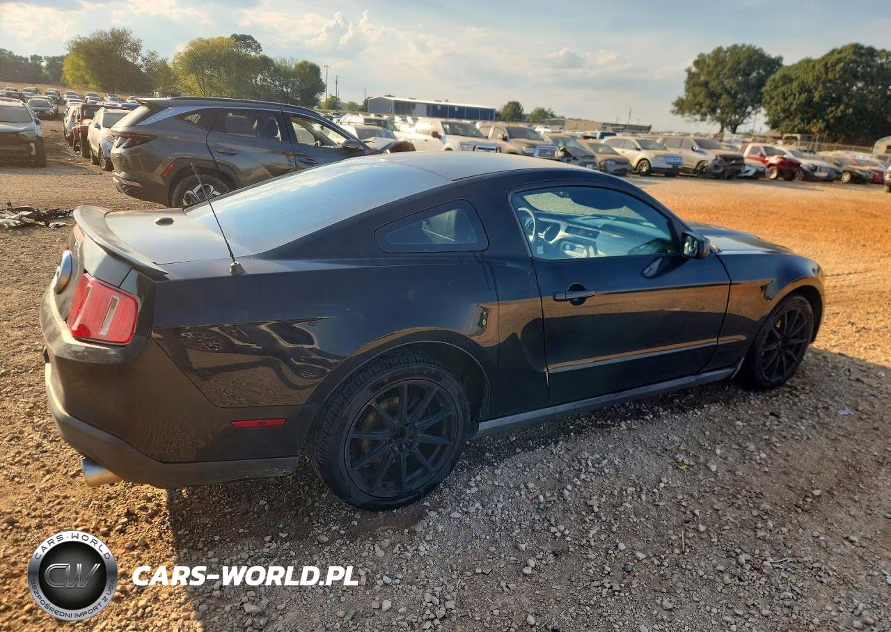 2010 Ford Mustang VIN:1ZVBP8AN3A5114895 - 3