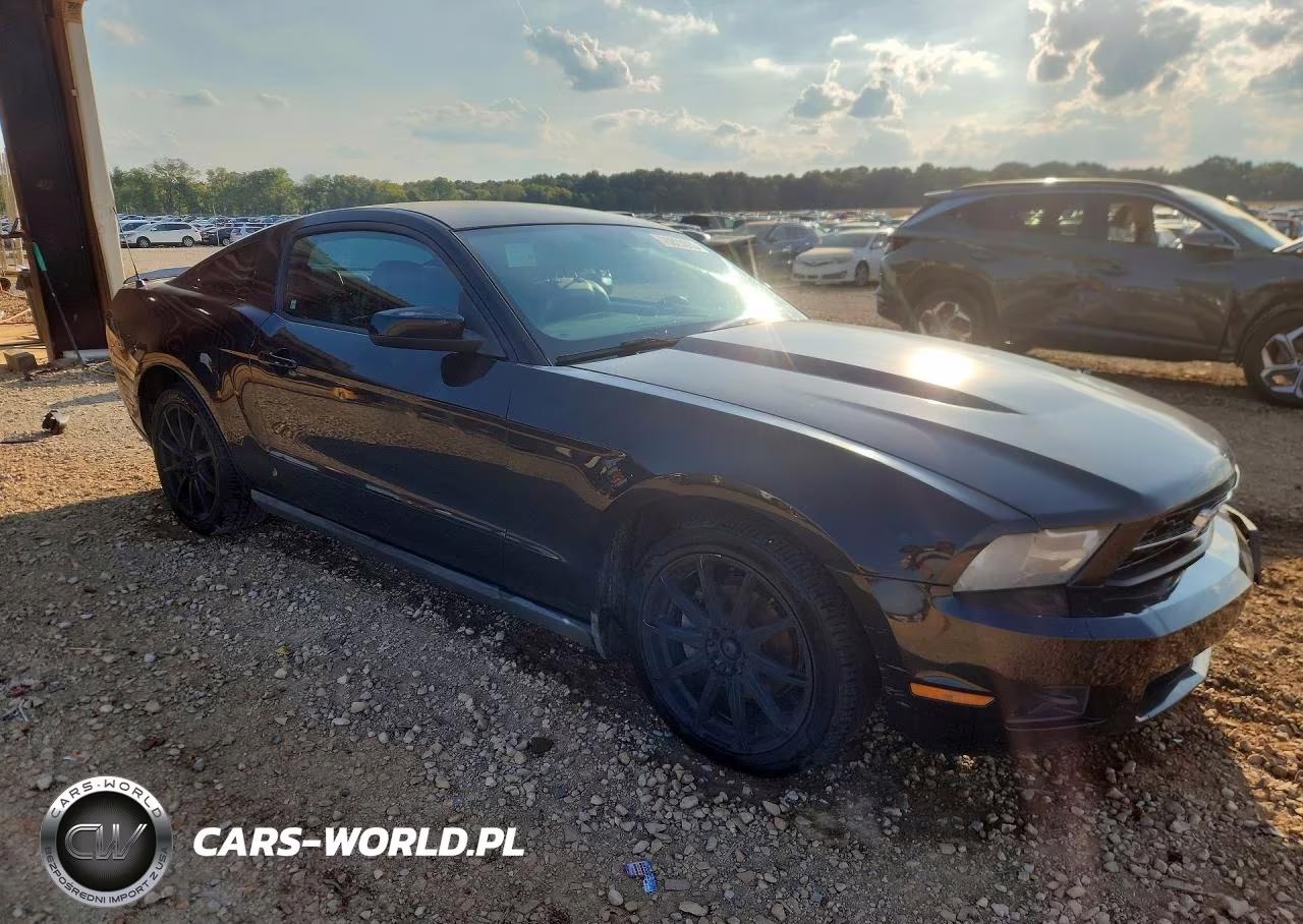 2010 Ford Mustang VIN:1ZVBP8AN3A5114895 - 4