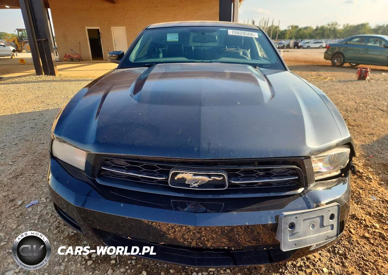 2010 Ford Mustang VIN:1ZVBP8AN3A5114895 - 5