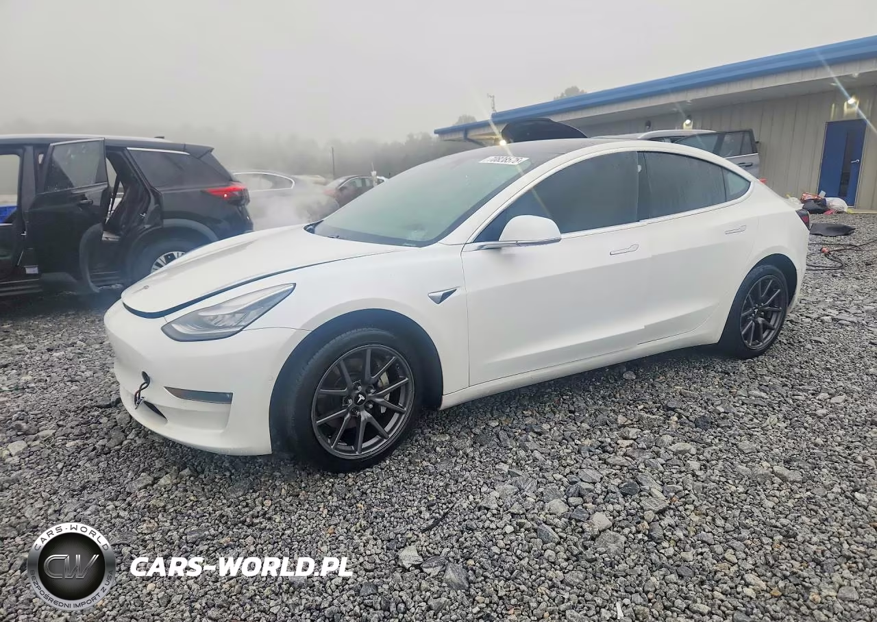 2019 Tesla Model 3