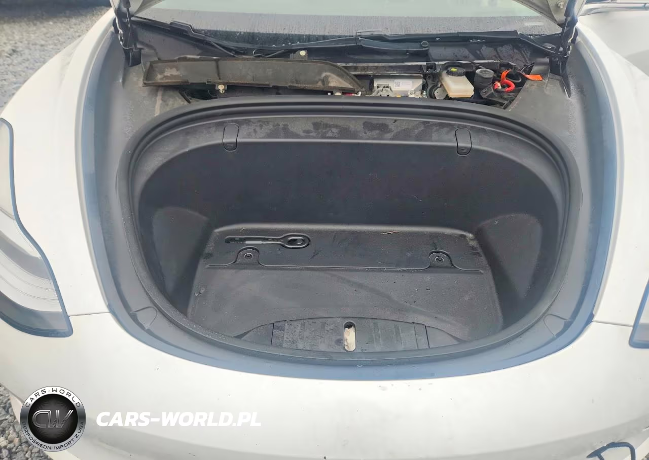2019 Tesla Model 3 VIN:5YJ3E1EA0KF407617 - 12