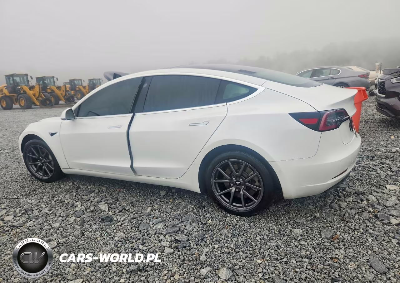 2019 Tesla Model 3 VIN:5YJ3E1EA0KF407617 - 2
