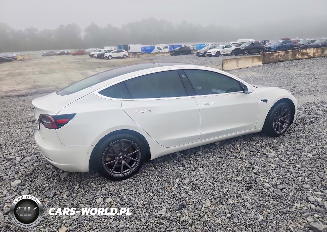 2019 Tesla Model 3 VIN:5YJ3E1EA0KF407617 - 3
