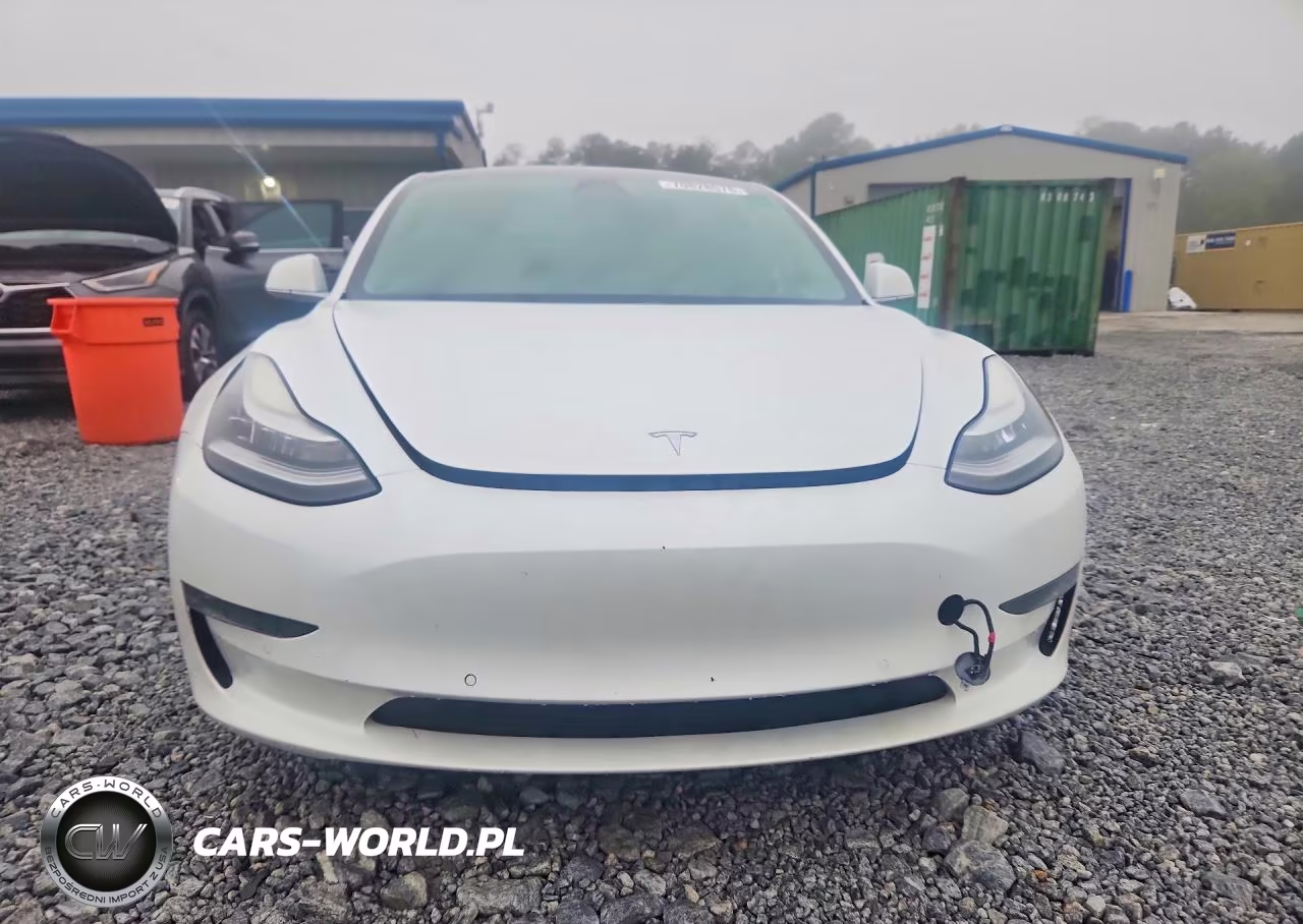 2019 Tesla Model 3 VIN:5YJ3E1EA0KF407617 - 5
