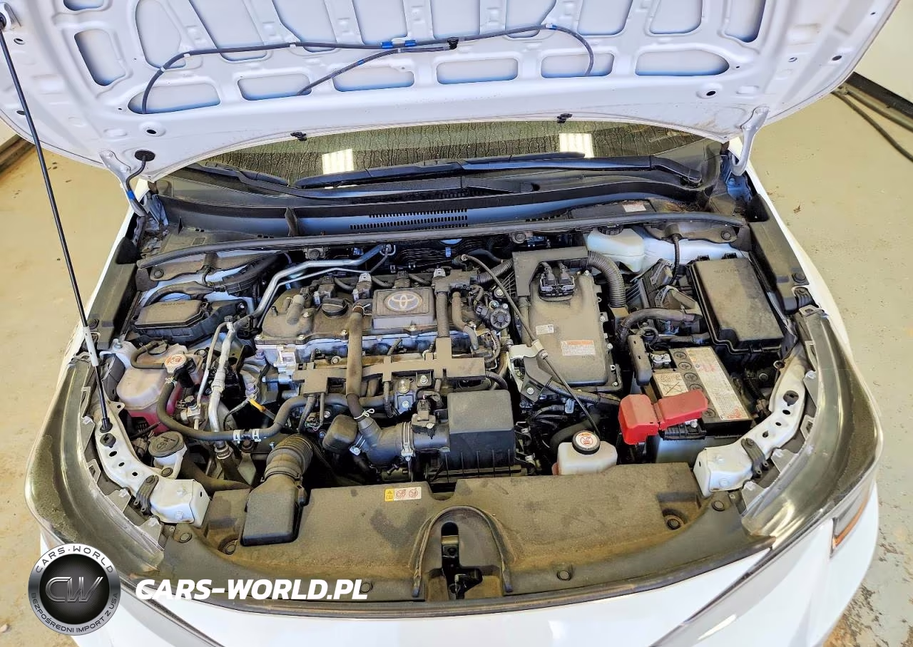 2022 Toyota Corolla Le VIN:JTDEAMDE2N3003147 - 11