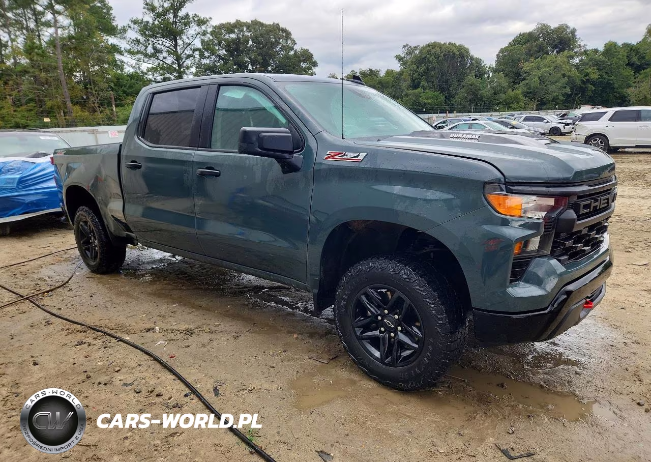 2025 Chevrolet Silverado K1500 Trail Boss Custom VIN:3GCUKCE86SG249073 - 4