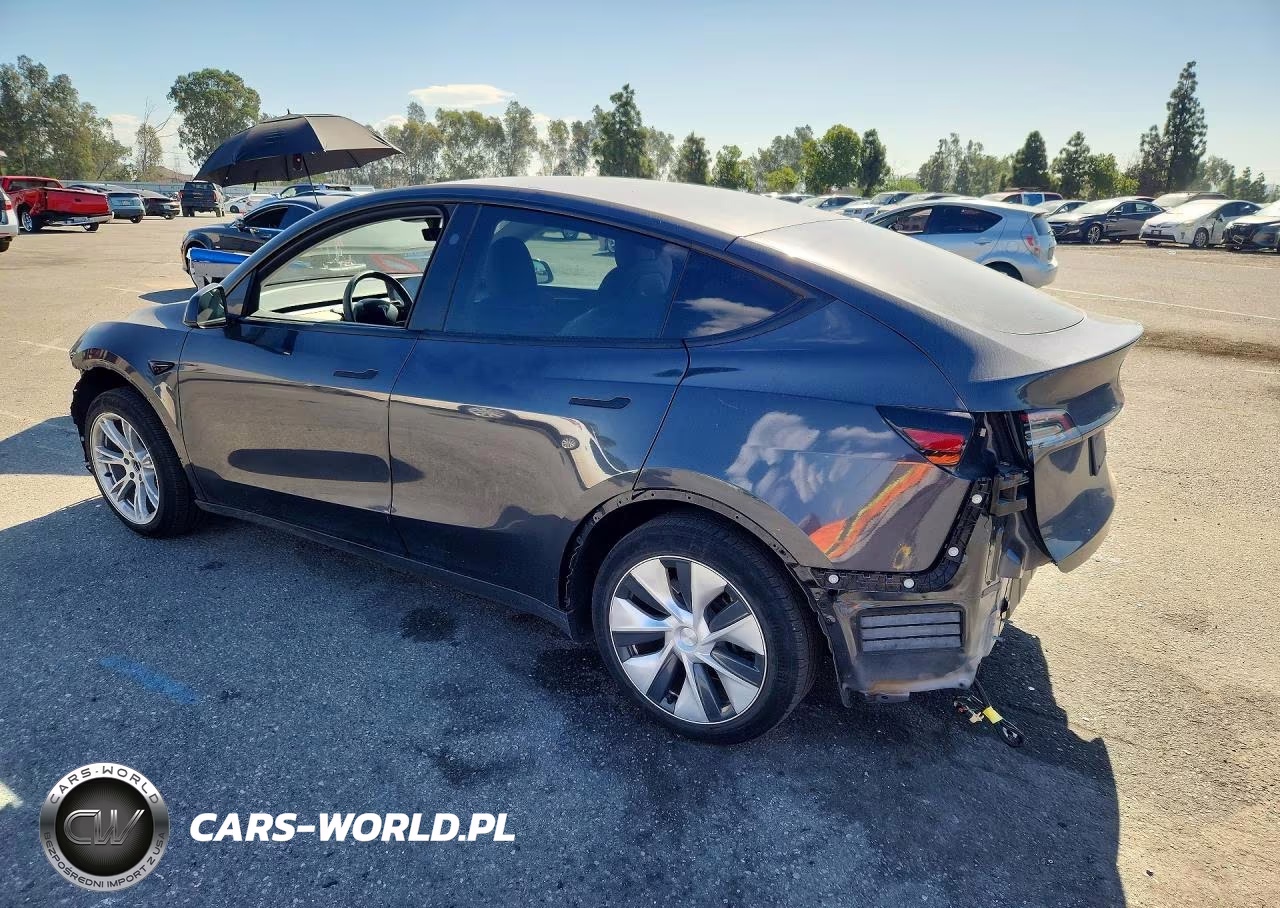2024 Tesla Model Y VIN:7SAYGDEDXRF001935 - 2
