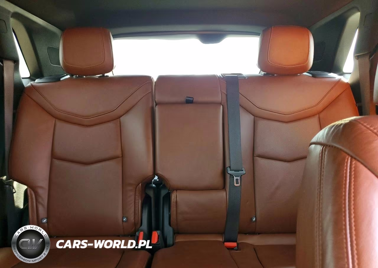 2020 Cadillac Xt5 Premium Luxury VIN:1GYKNDRS4LZ137359 - 10