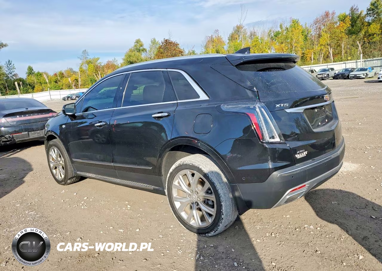 2020 Cadillac Xt5 Premium Luxury VIN:1GYKNDRS4LZ137359 - 2
