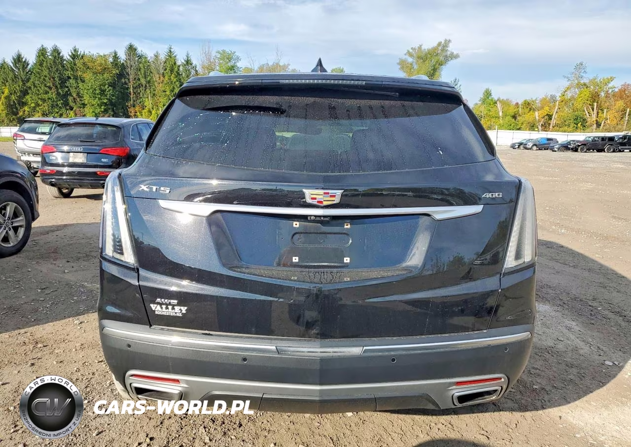 2020 Cadillac Xt5 Premium Luxury VIN:1GYKNDRS4LZ137359 - 6