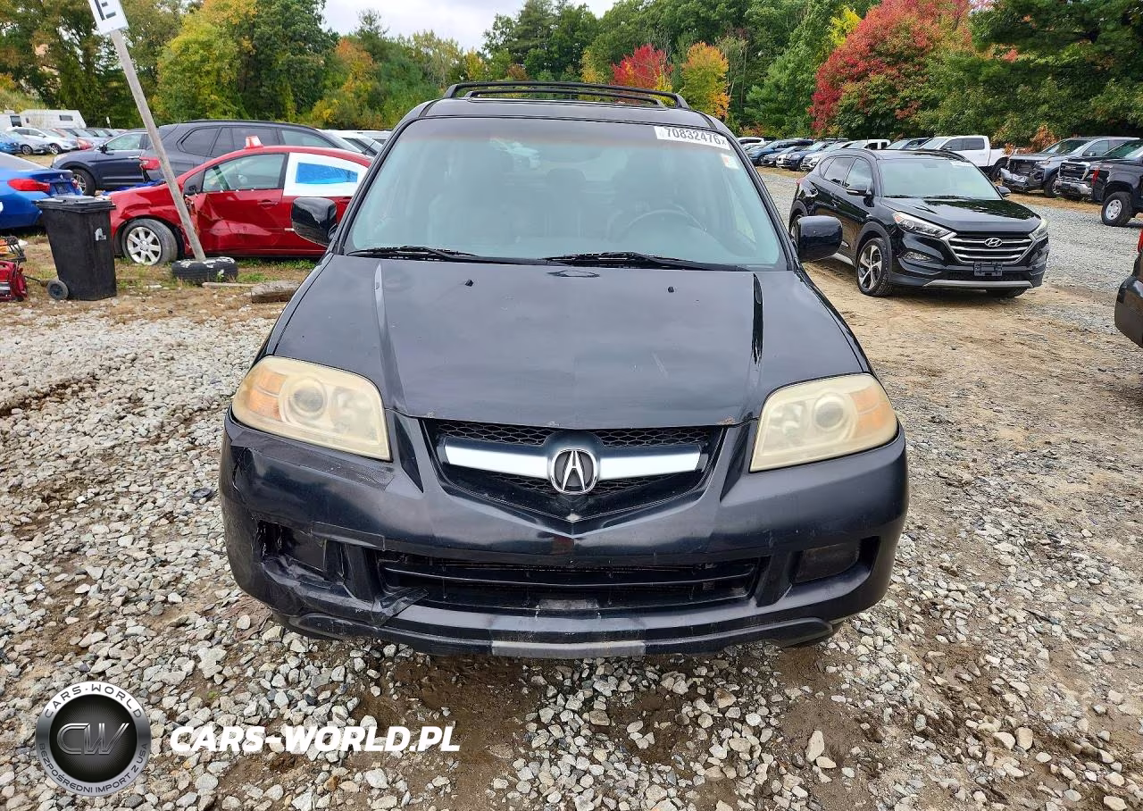 2006 Acura Mdx Tech VIN:2HNYD18266H516297 - 5