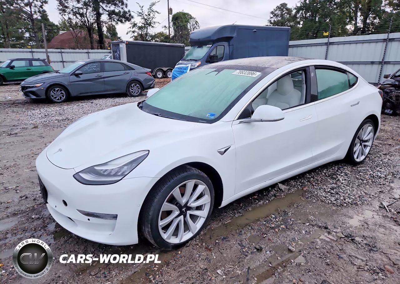2019 Tesla Model 3