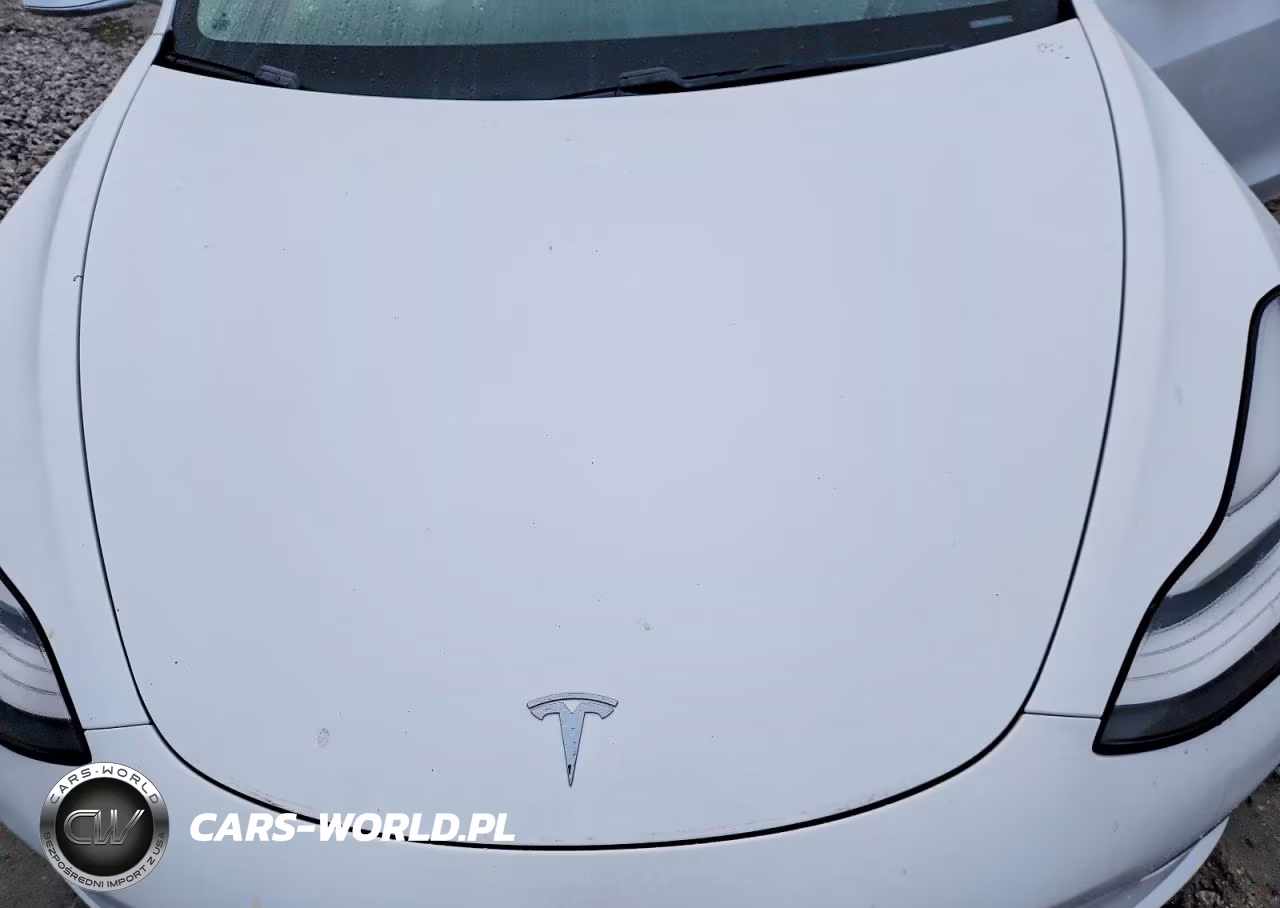 2019 Tesla Model 3 VIN:5YJ3E1EA8KF302713 - 11