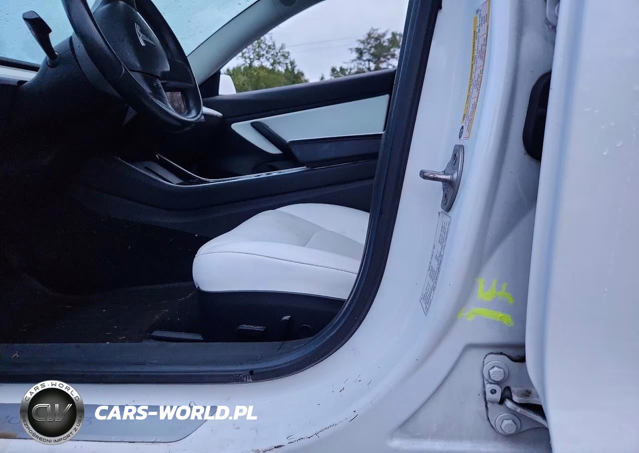 2019 Tesla Model 3 VIN:5YJ3E1EA8KF302713 - 12