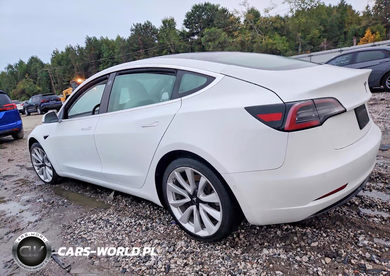 2019 Tesla Model 3 VIN:5YJ3E1EA8KF302713 - 2