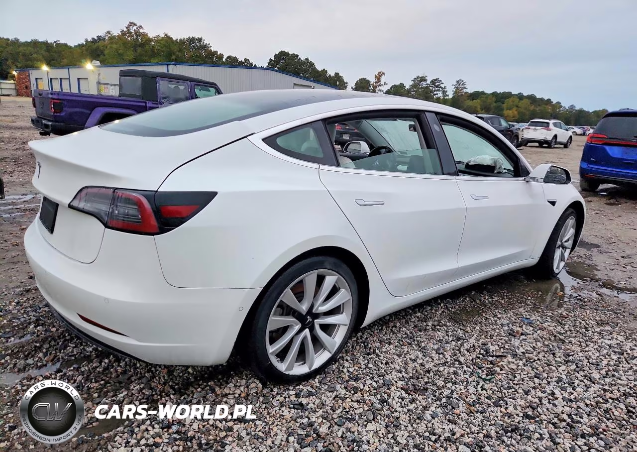 2019 Tesla Model 3 VIN:5YJ3E1EA8KF302713 - 3