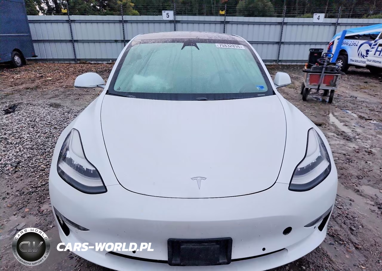 2019 Tesla Model 3 VIN:5YJ3E1EA8KF302713 - 5