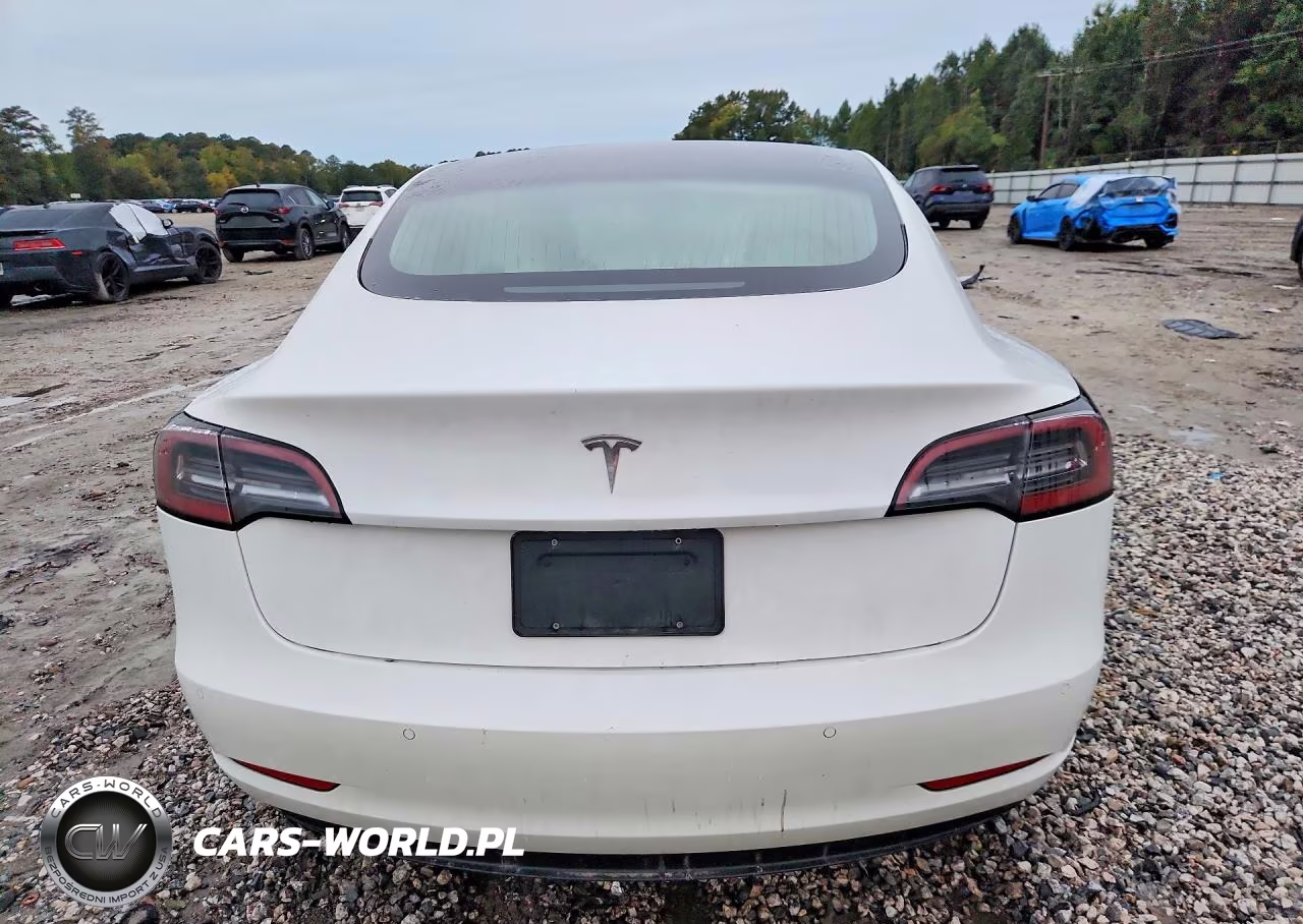2019 Tesla Model 3 VIN:5YJ3E1EA8KF302713 - 6