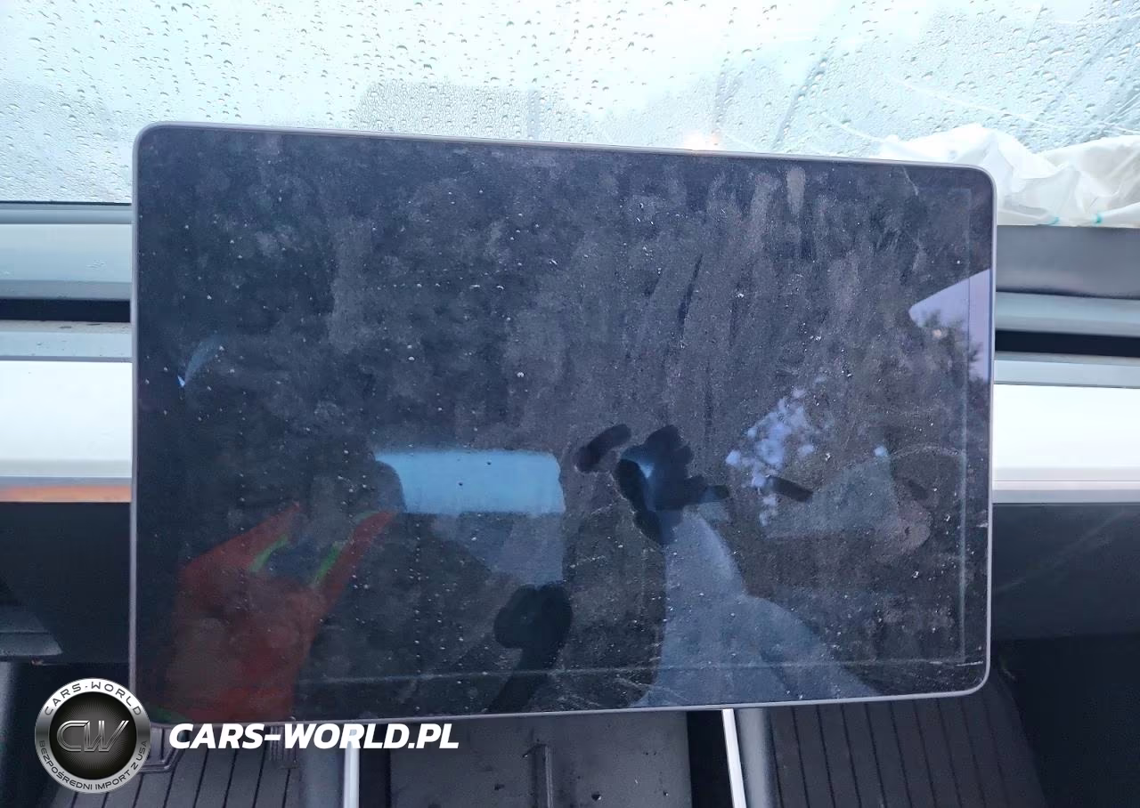 2019 Tesla Model 3 VIN:5YJ3E1EA8KF302713 - 9
