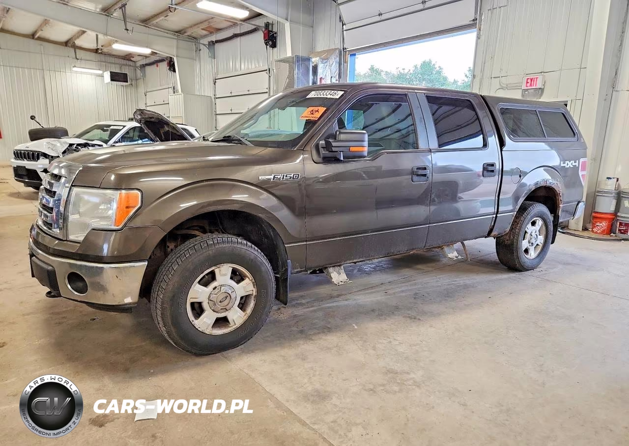 2009 Ford F150 Supercrew VIN:1FTPW14V09FA55583 - 1