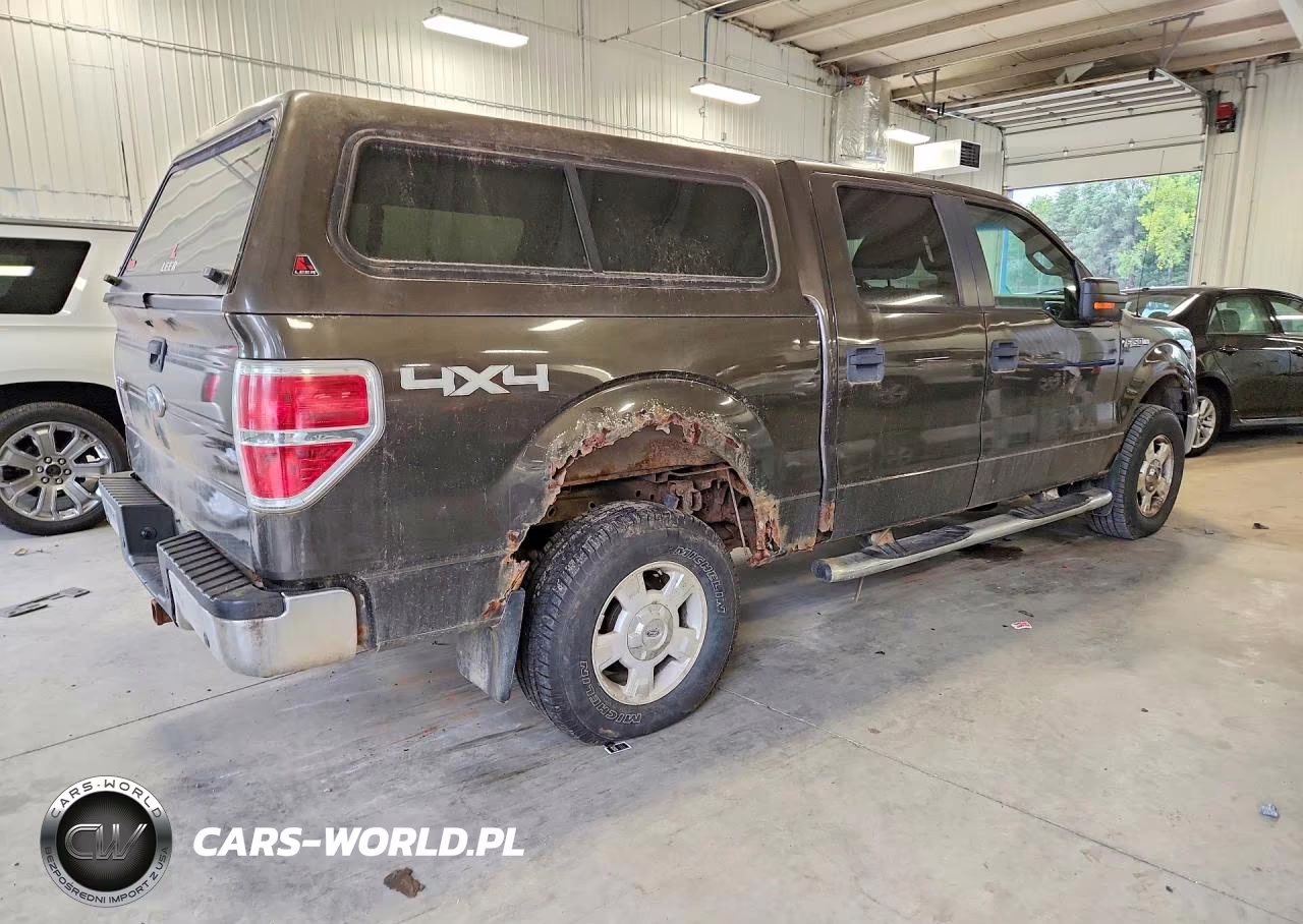 2009 Ford F150 Supercrew VIN:1FTPW14V09FA55583 - 3