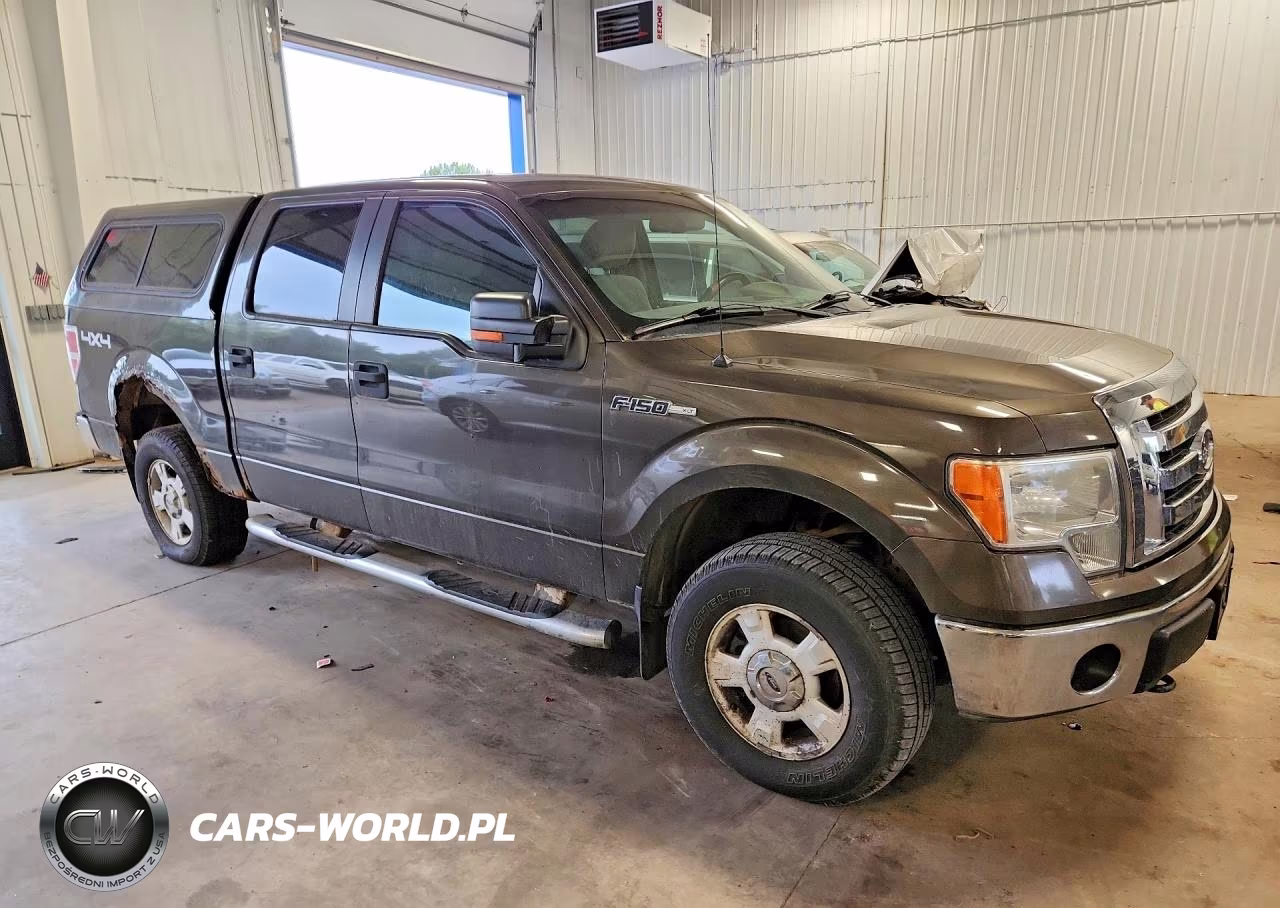 2009 Ford F150 Supercrew VIN:1FTPW14V09FA55583 - 4