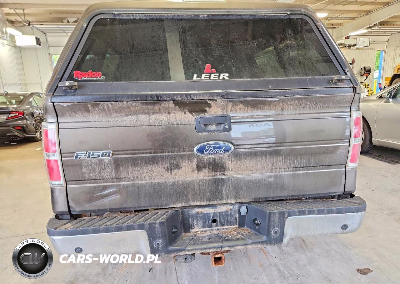 2009 Ford F150 Supercrew VIN:1FTPW14V09FA55583 - 6
