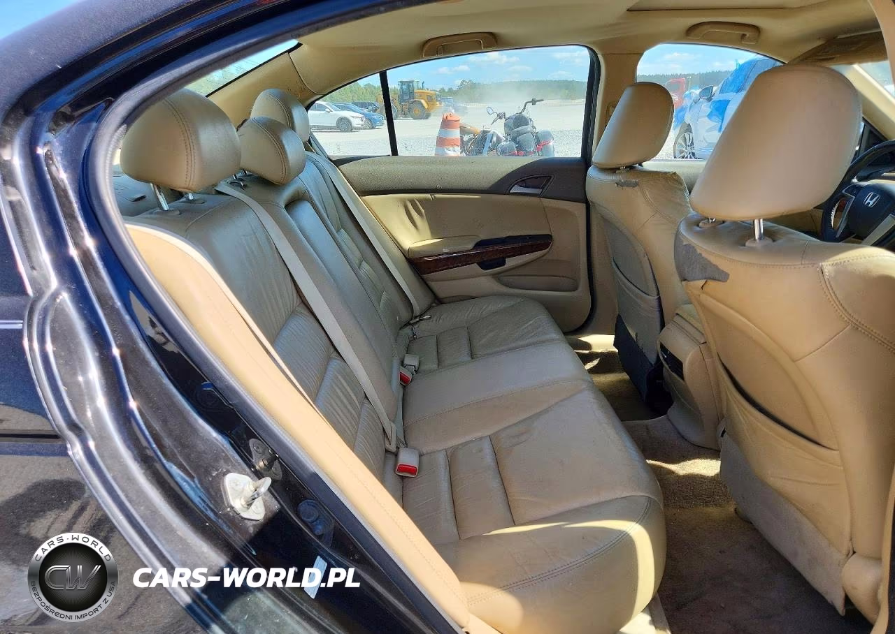 2010 Honda Accord Exl VIN:1HGCP2F83AA010164 - 10